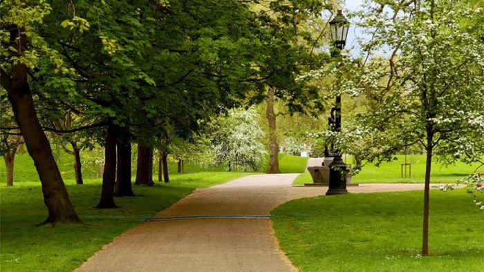 SCENIC PARKS