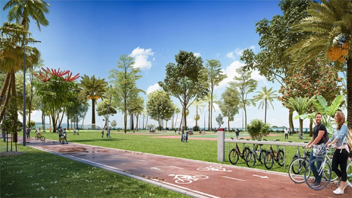 TREE-LINED AVENUES